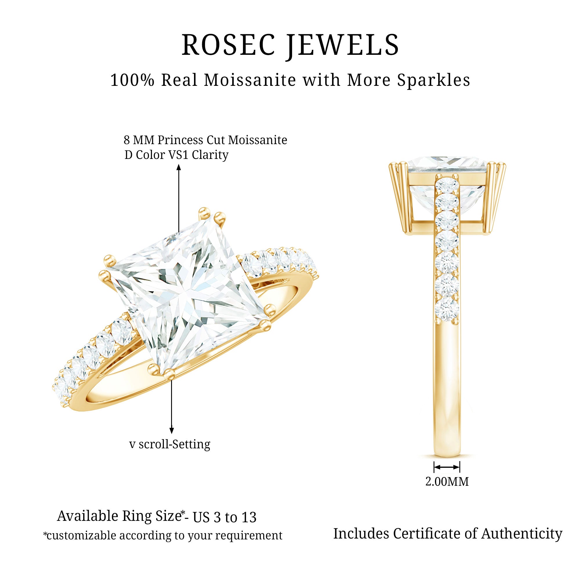 3 Carat Moissanite Princess Cut Engagement Ring With Double Prongs D-VS1 - Rosec Jewels