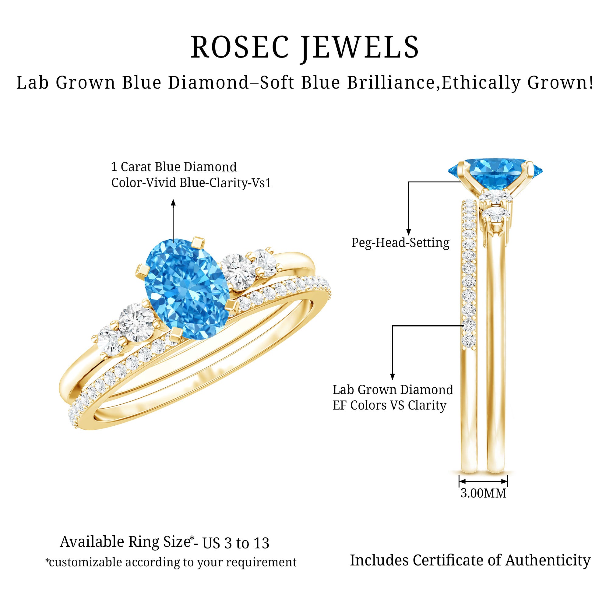 Rosec Jewels-IGI Certified 1 Carat Oval Lab Grown Blue and White Diamond Bridal Ring Set