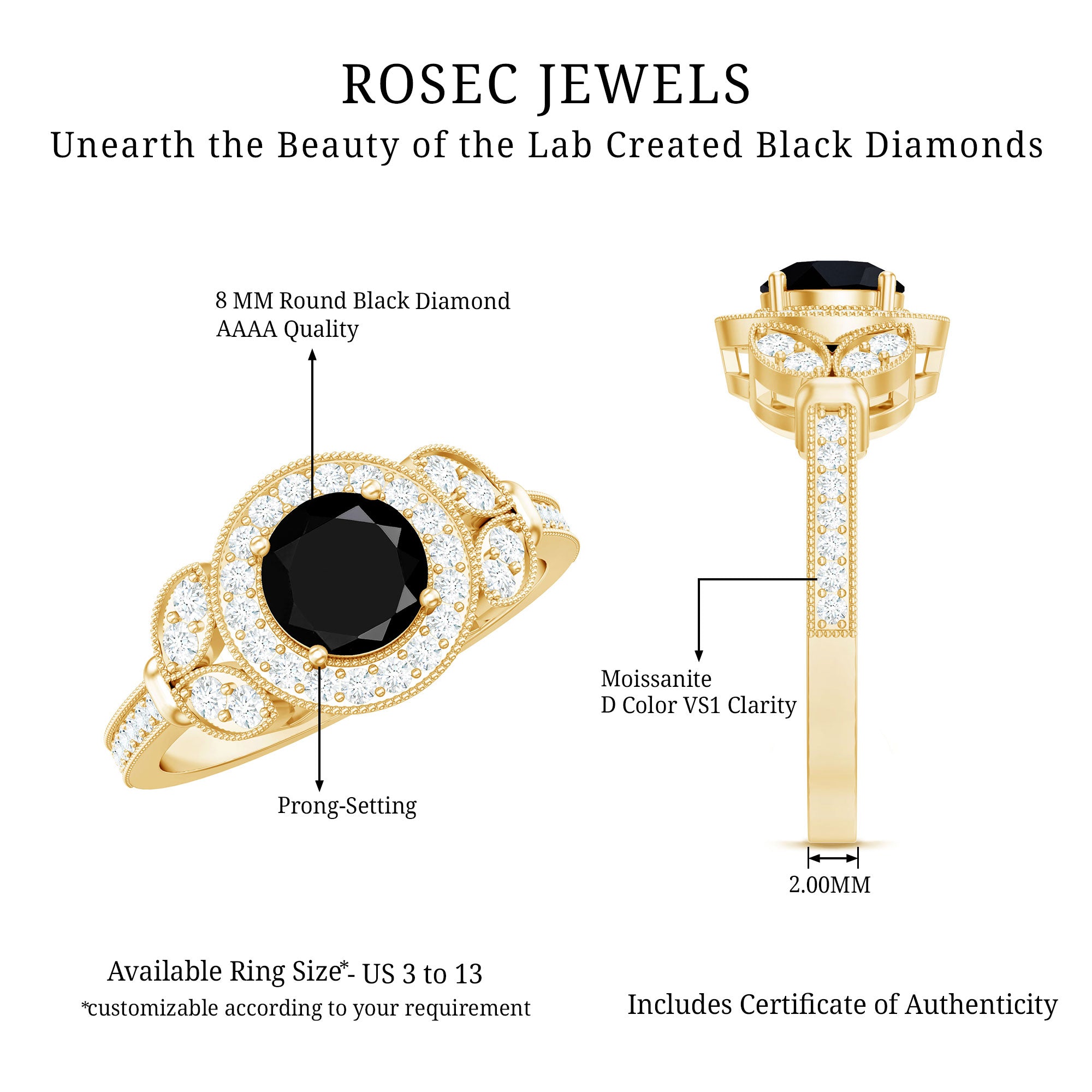 Vintage Style 2 Carat Lab Grown Black Diamond Engagement Ring with Moissanite AAAA ( Synthetic ) - Rosec Jewels