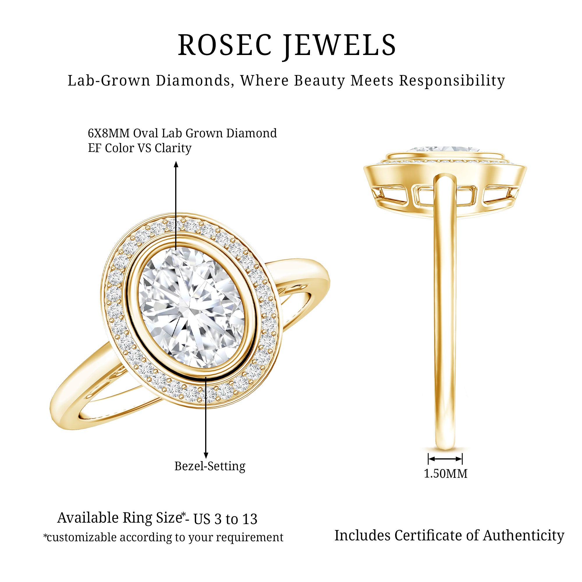 Classic Lab Grown Diamond Engagement Ring with Halo Lab - ( EF-VS ) - Rosec Jewels