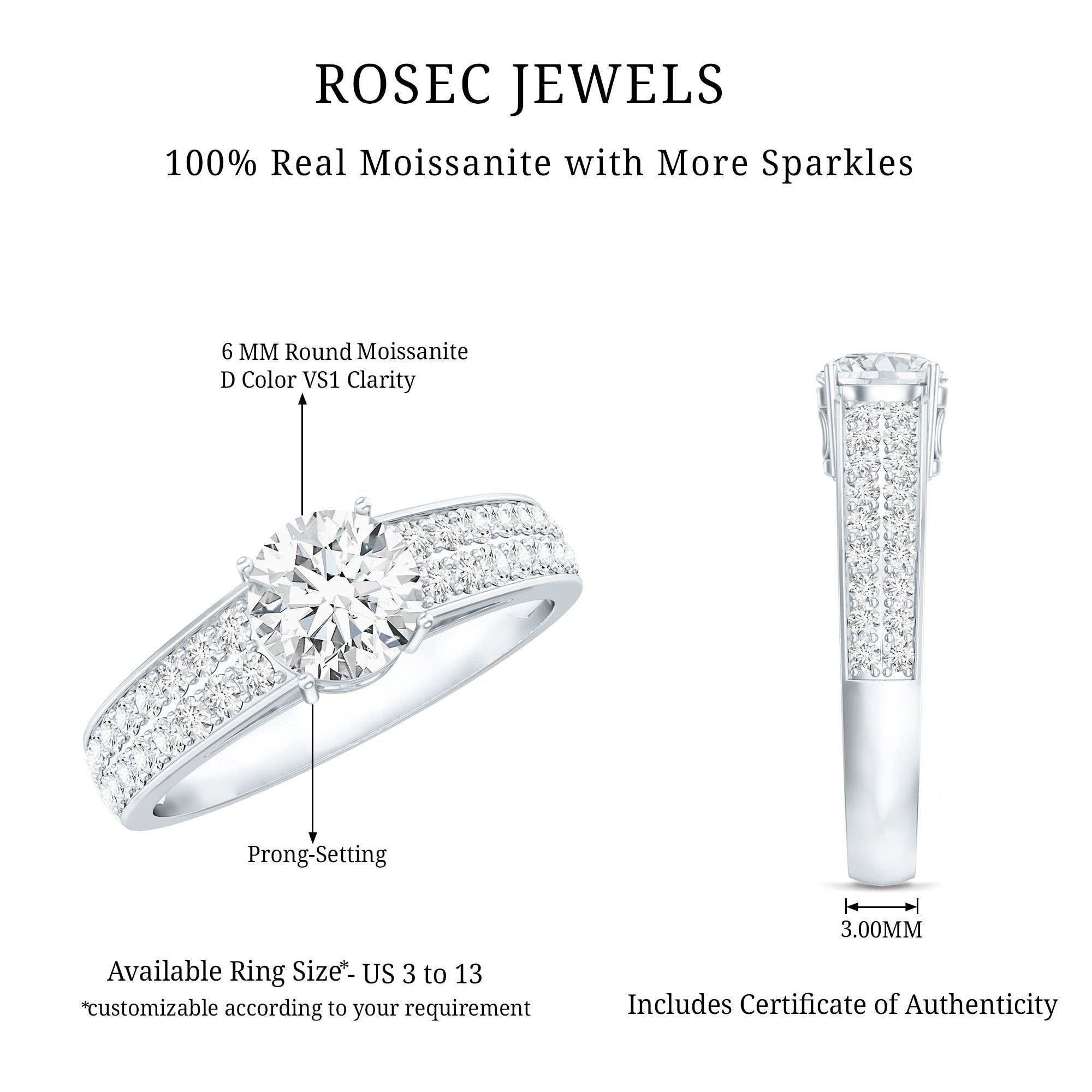 Round Moissanite Engagement Ring with Side Stones D-VS1 - Rosec Jewels