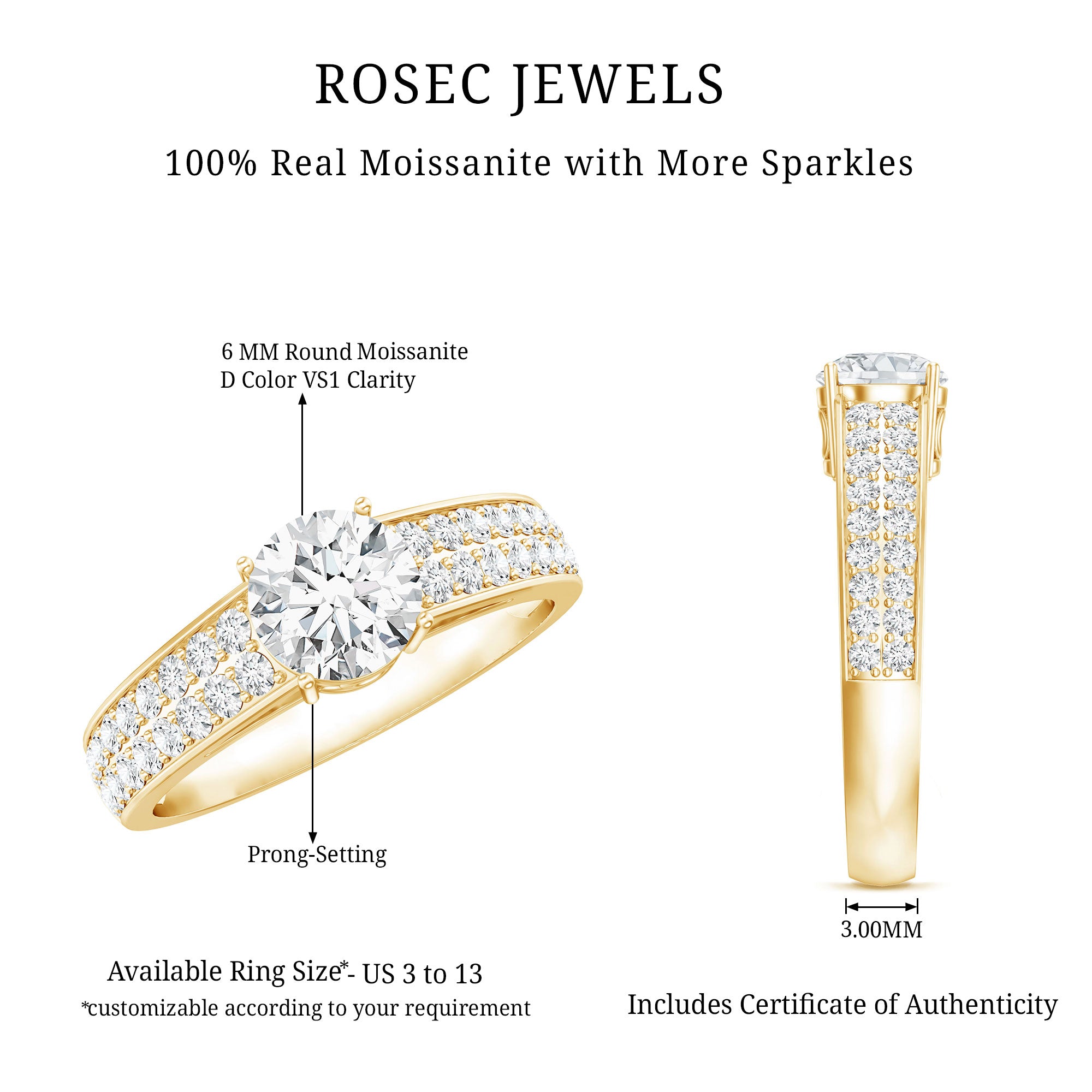 Round Moissanite Engagement Ring with Side Stones D-VS1 - Rosec Jewels