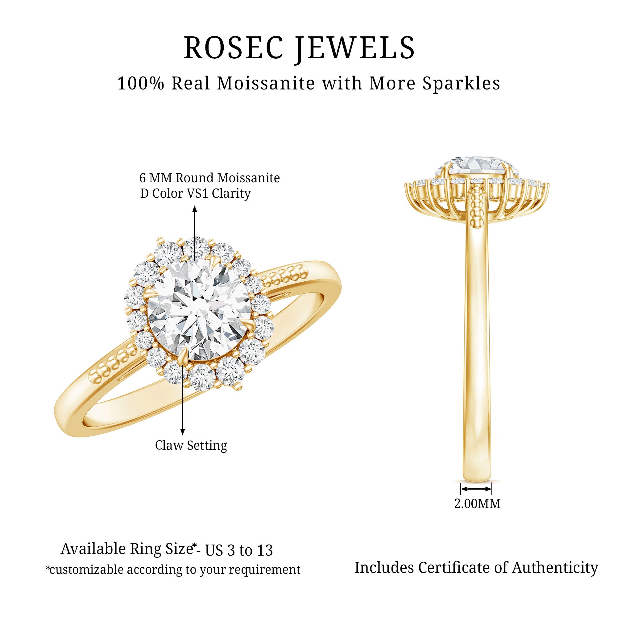 Certified Moissanite Halo Engagement Ring for Women D-VS1 - Rosec Jewels