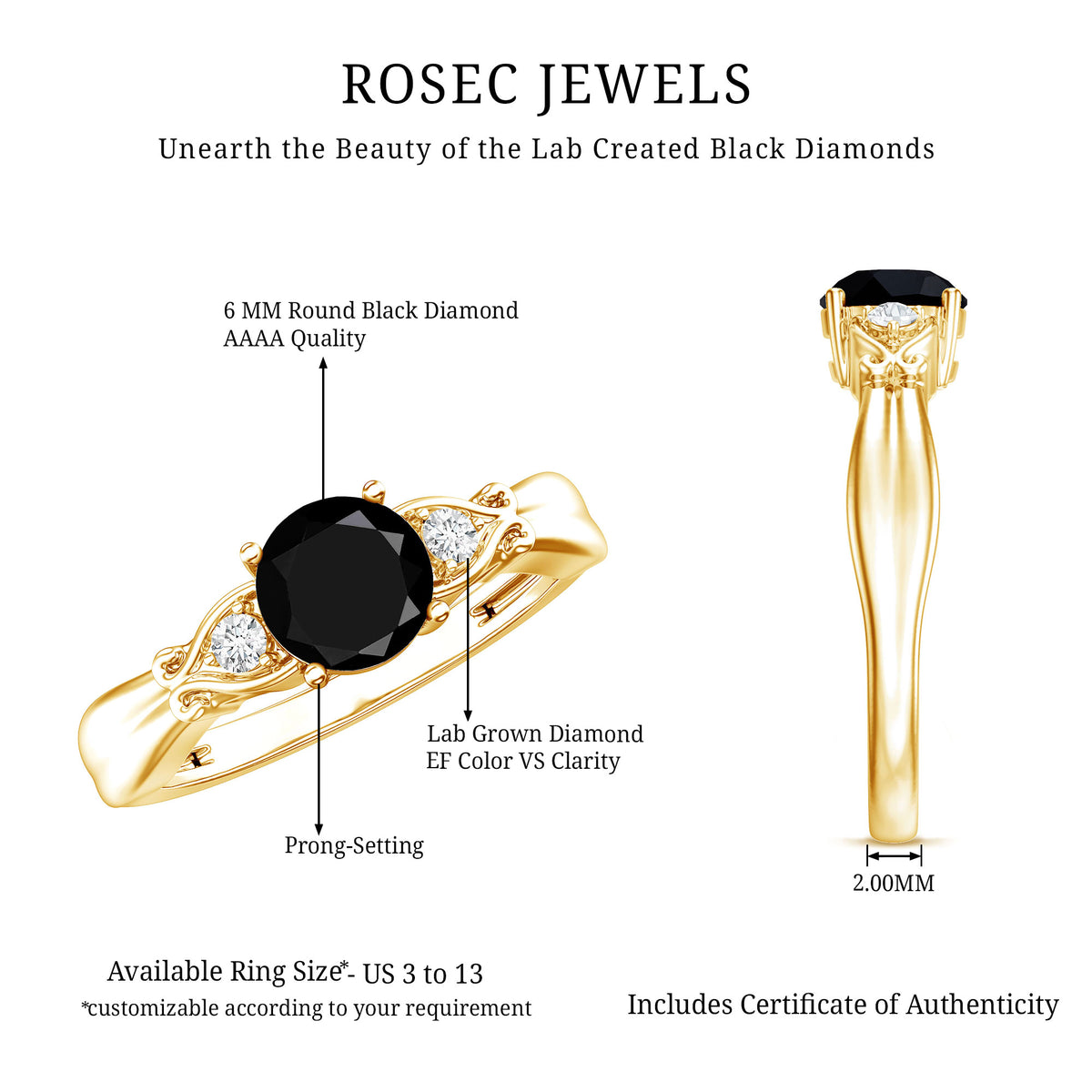 Certified 1.3 Carat Lab Grown Black Diamond Engagement Ring with White Diamond AAAA ( Synthetic ) - Rosec Jewels