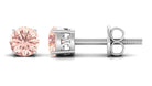 Prong Set Peach Morganite Solitaire Stud Earrings Morganite - ( AAA ) - Quality - Rosec Jewels