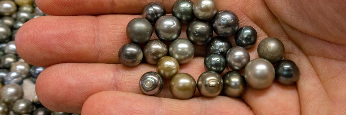 Types of Black Pearls and Their Characteristics