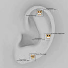 Black Diamond Cute Owl Cartilage Earring with Moissanite Black Diamond - ( AAA ) - Quality - Rosec Jewels