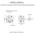 4 Carat Lab Grown Diamond Stud Earrings with IGI Certificate Lab - ( E-VS1 ) - Rosec Jewels