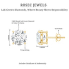 4 Carat Lab Grown Diamond Stud Earrings with IGI Certificate Lab - ( E-VS1 ) - Rosec Jewels