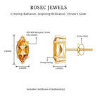 Natural 1.48 Carat Marquise Cut Citrine Stud Earrings AAA 14K Yellow Gold Plated Silver - Rosec Jewels