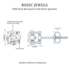 Silver Moissanite 1 Carat Stud Earring D-VS1 92.5 Sterling Silver - Rosec Jewels