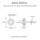 Rosec Jewels-Certified Brilliant Cut Diamond Halo Stud Earrings
