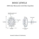 Certified Moissanite Oval Stud Earrings with Halo D-VS1 - Rosec Jewels