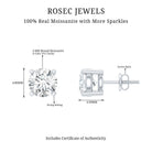 Sterling Silver Moissanite Half Carat Stud Earring D-VS1 92.5 Sterling Silver - Rosec Jewels