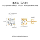 Round Moissanite Solitaire Stud Earrings in Prong Setting D-VS1 - Rosec Jewels