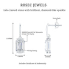 3.5 Carat Emerald Cut Moissanite Drop Earrings for Women in Silver D-VS1 92.5 Sterling Silver - Rosec Jewels