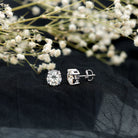 4.2 Carat Round Cut Moissanite Solitaire Stud Earrings D-VS1 - Rosec Jewels