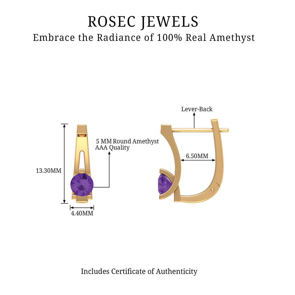 Rosec Jewels - Real Amethyst Solitaire Lever Back Earrings