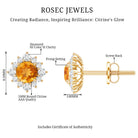 1 CT Classic Citrine Stud Earrings with Diamond Halo AAA - Rosec Jewels