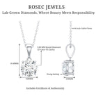 3 Carat Solitaire Lab Grown Diamond Pendant with IGI Certificate Lab - ( E-VS1 ) - Rosec Jewels
