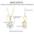 3 Carat Solitaire Lab Grown Diamond Pendant with IGI Certificate Lab - ( E-VS1 ) - Rosec Jewels