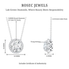 IGI Certified 3 Carat Lab Grown Diamond Necklace with Halo Lab - ( E-VS1 ) - Rosec Jewels