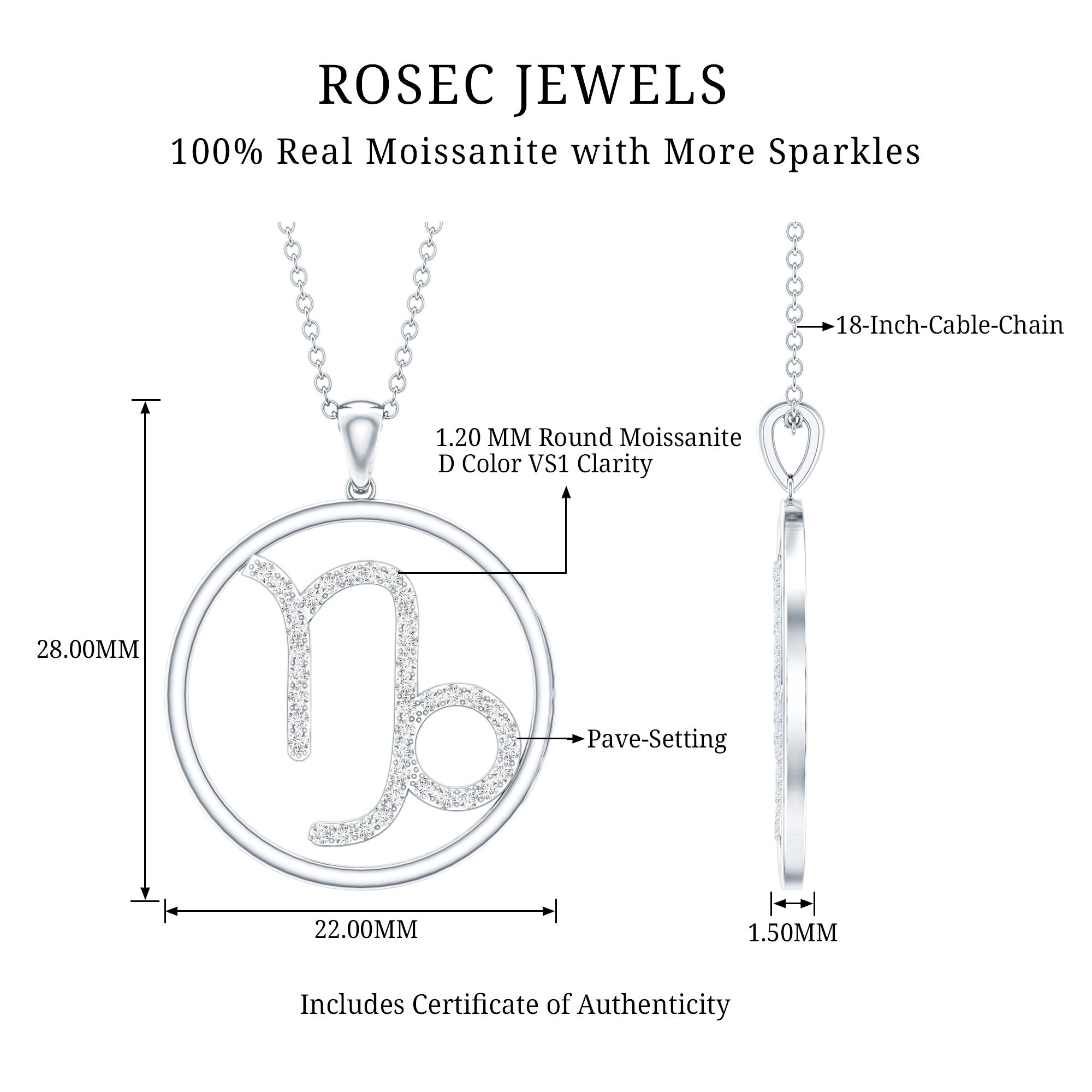 Certified Moissanite Capricorn Zodiac Necklace D-VS1 - Rosec Jewels