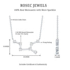 Moissanite Virgo Zodiac Constellation Necklace D-VS1 - Rosec Jewels
