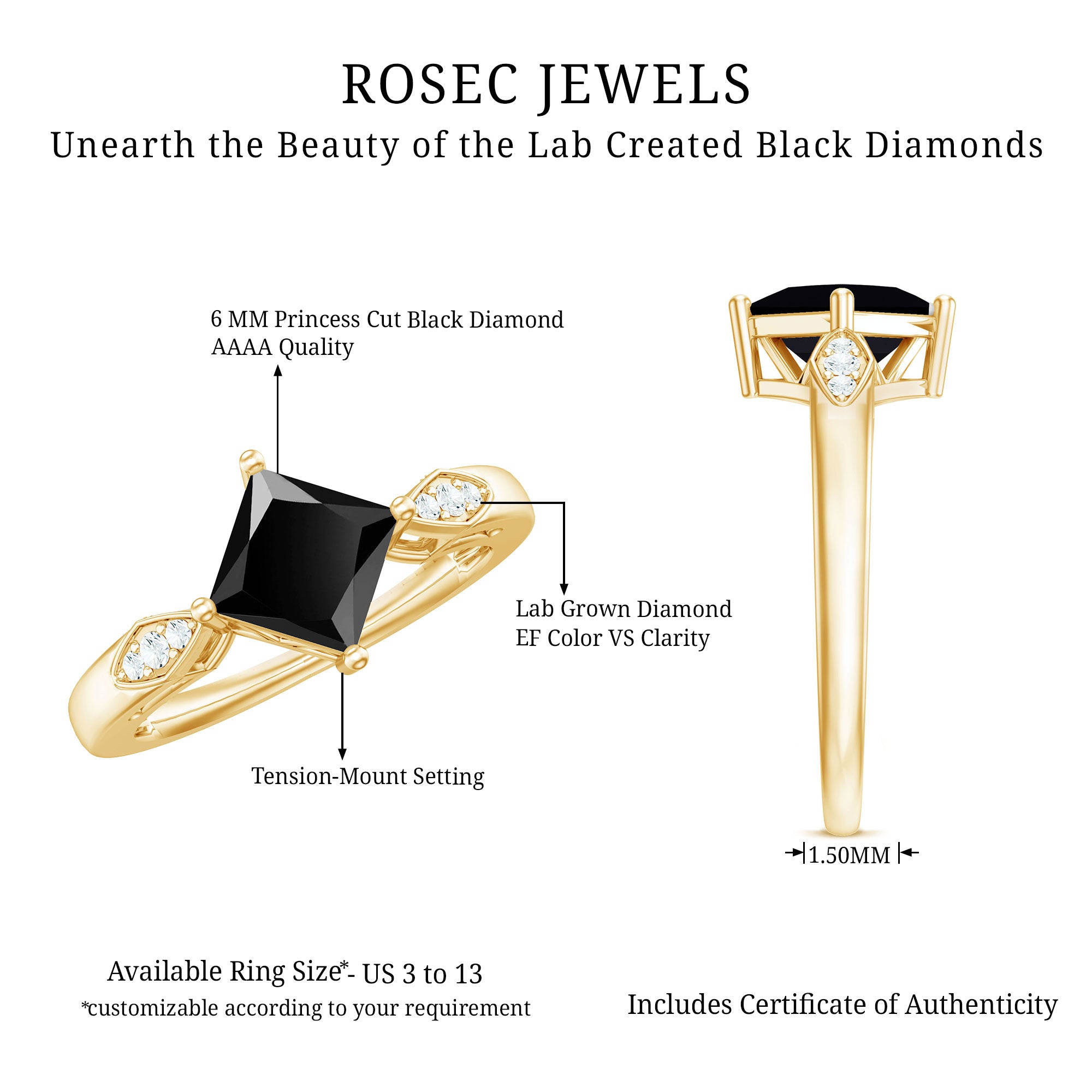 Certified 1 Carat Princess Cut Lab Grown Black and White Diamond Engagement Ring AAAA ( Synthetic ) - Rosec Jewels