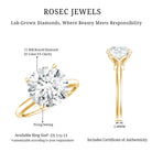 Lab Grown Diamond 5 Carat Engagement Ring with IGI Certificate Lab - ( E-VS1 ) - Rosec Jewels