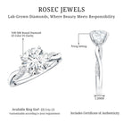 3 Carat Lab Grown Diamond Braided Engagement Ring with IGI Certificate Lab - ( E-VS1 ) - Rosec Jewels
