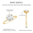 IGI Certified 2 Carat Lab Grown Diamond Lotus Engagement Ring Lab - ( E-VS1 ) - Rosec Jewels