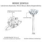 IGI Certified 4 CT Lab Grown Diamond Lotus Engagement Ring Lab - ( E-VS1 ) - Rosec Jewels