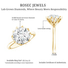 IGI Certified 4 CT Lab Grown Diamond Lotus Engagement Ring Lab - ( E-VS1 ) - Rosec Jewels