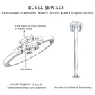 IGI Certified Lab Grown Diamond Three Stone Engagement Ring Lab - ( E-VS1 ) - Rosec Jewels