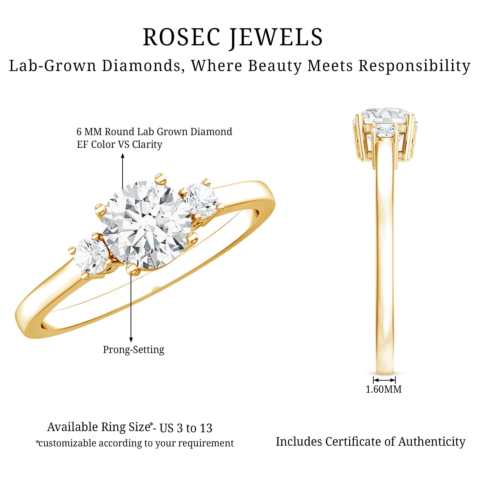 Rosec Jewels-IGI Certified Lab Grown Diamond Three Stone Engagement Ring