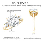 5 Carat Lab Grown Diamond 3 Stone Engagement Ring with IGI Certificate Lab - ( EF-VS ) - Rosec Jewels