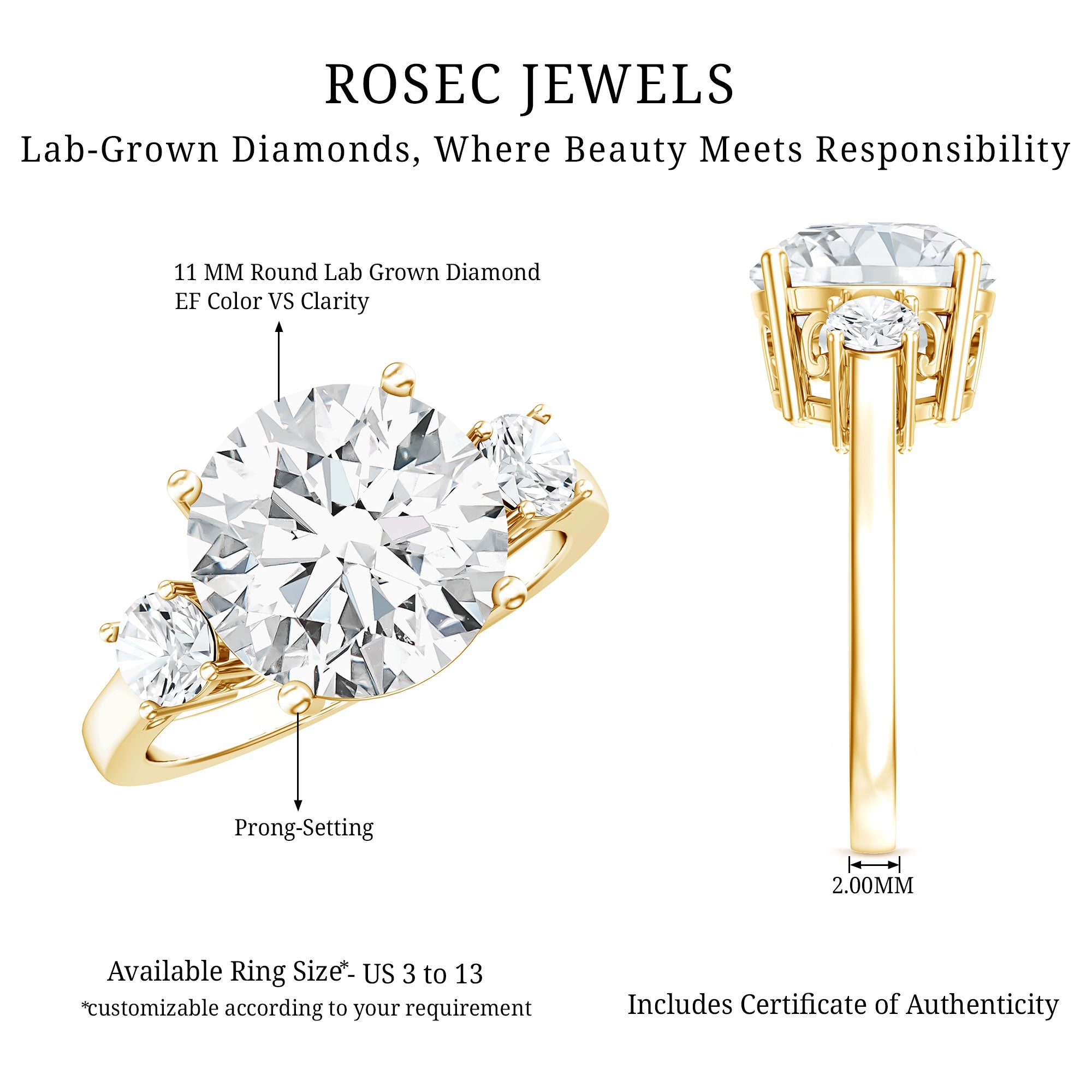 5 Carat Lab Grown Diamond 3 Stone Engagement Ring with IGI Certificate Lab - ( EF-VS ) - Rosec Jewels