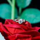 6 MM Lab Grown Diamond Solitaire Engagement Ring Lab - ( EF-VS ) - Rosec Jewels