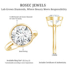 IGI Certified 5 Carat Lab Grown Diamond Bezel Set Engagement Ring Lab - ( E-VS1 ) - Rosec Jewels