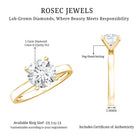 IGI Certified Lab Grown Round Diamond Solitaire Engagement Ring Lab - ( E-VS1 ) - Rosec Jewels