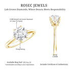 IGI Certified Lab Grown Diamond 2 CT Engagement Ring for Women Lab - ( E-VS1 ) - Rosec Jewels