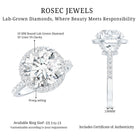 4 Carat Lab Grown Diamond Cocktail Engagement Ring with IGI Certificate Lab - ( E-VS1 ) - Rosec Jewels