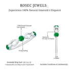 Rosec Jewels-Natural Emerald Diamond Infinity Anniversary Ring