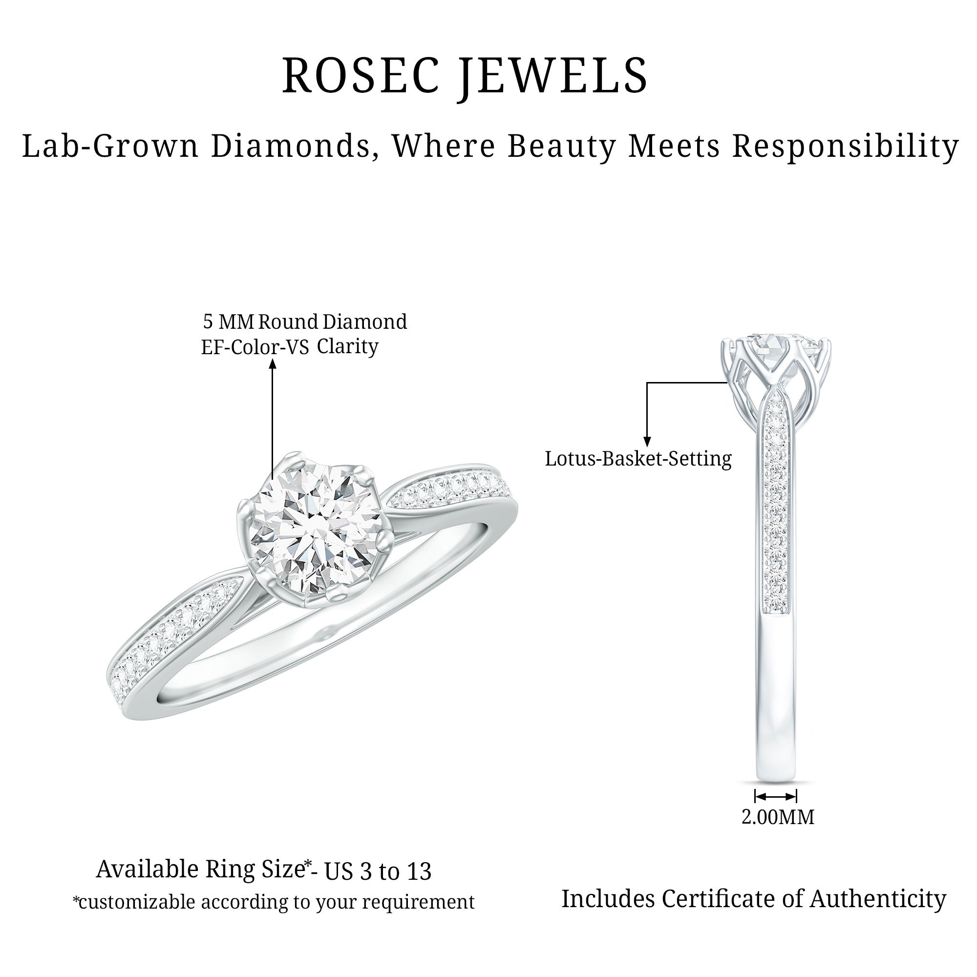 Rosec Jewels-Lab Grown Diamond Solitaire Engagement Ring with Side Stones