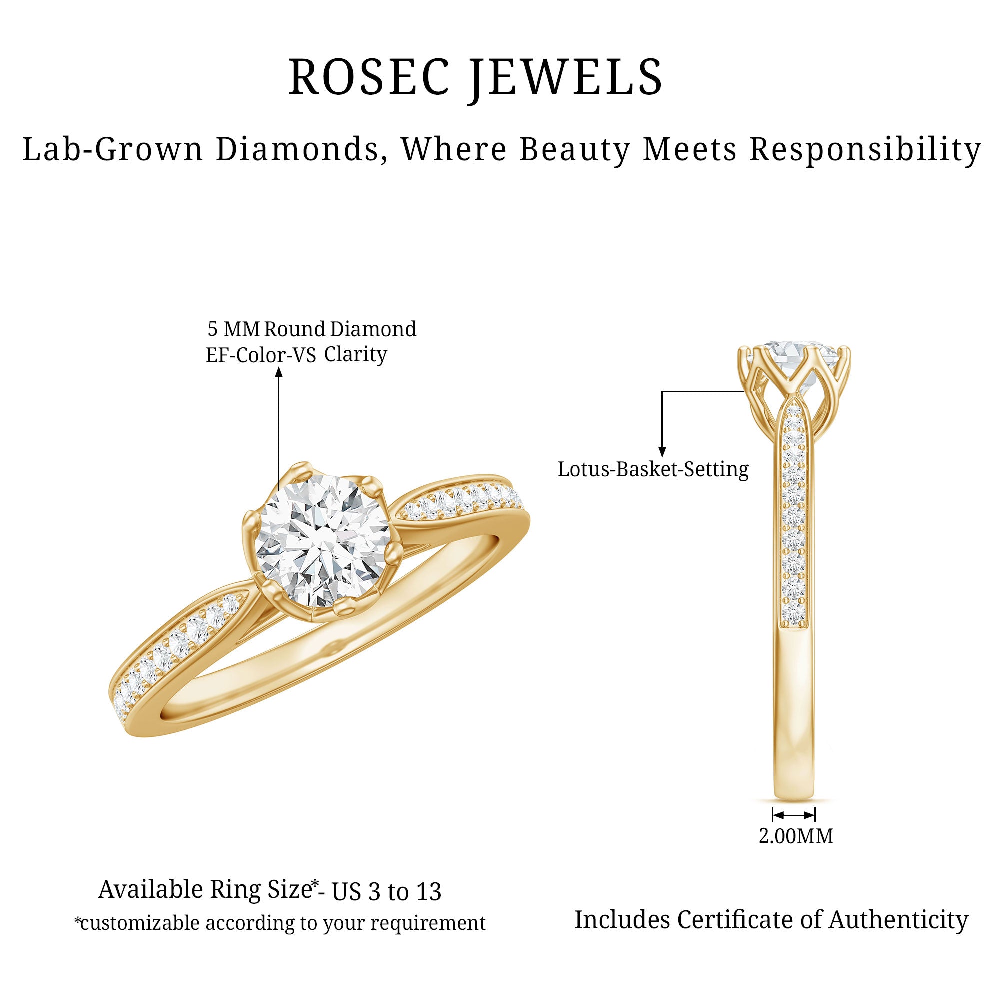 Rosec Jewels-Lab Grown Diamond Solitaire Engagement Ring with Side Stones