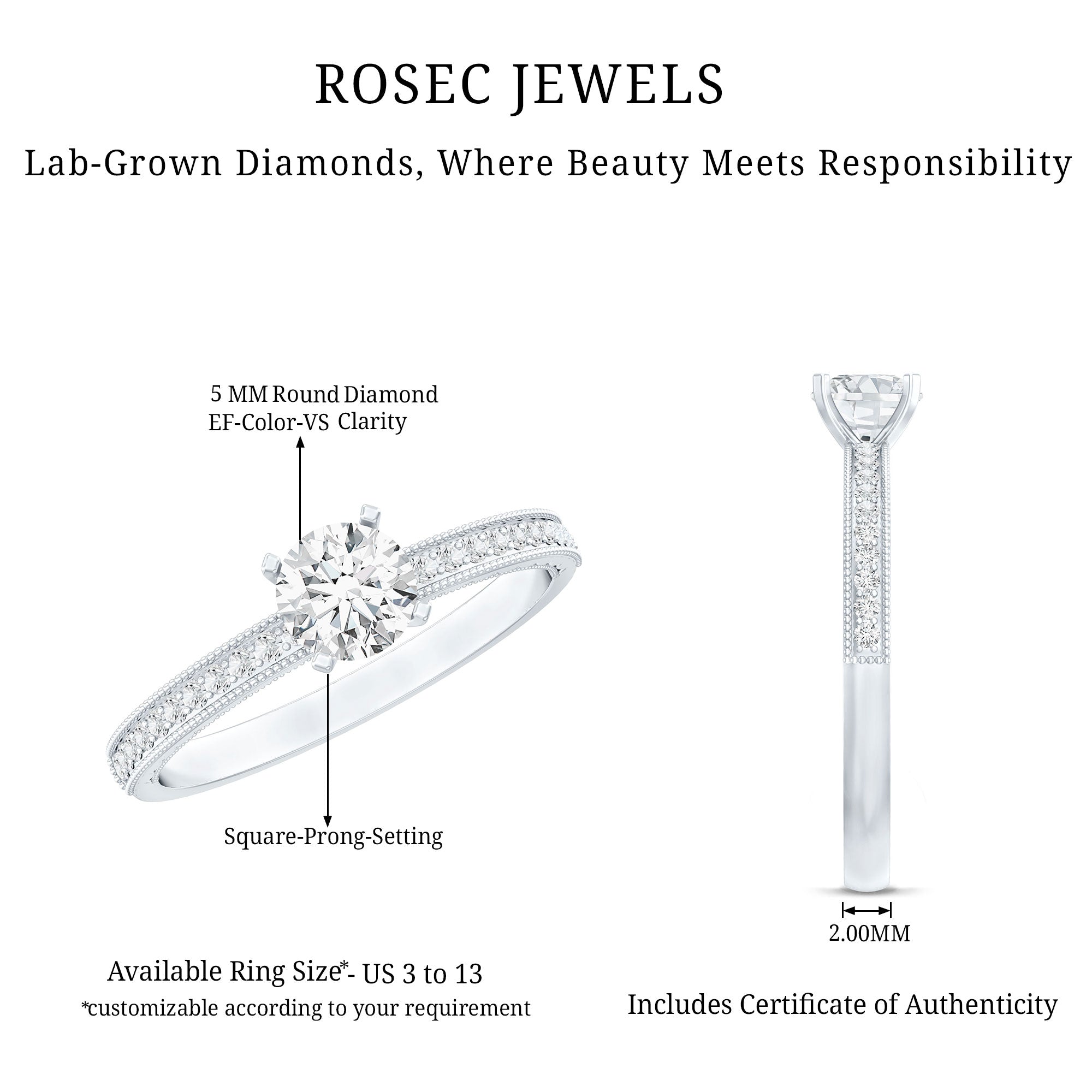 5MM Lab Grown Diamond Engagement Ring With Side Stones Lab - ( EF-VS ) - Rosec Jewels