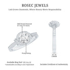 1 Carat Lab Grown Diamond Designer Halo Engagement Ring Lab - ( EF-VS ) - Rosec Jewels