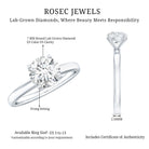 Lab Grown Diamond 1 Carat Engagement Ring For Women Lab - ( EF-VS ) - Rosec Jewels