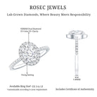 Rosec Jewels-Certified Lab Grown Diamond 6X8 MM Oval Engagement Ring With Side Stones